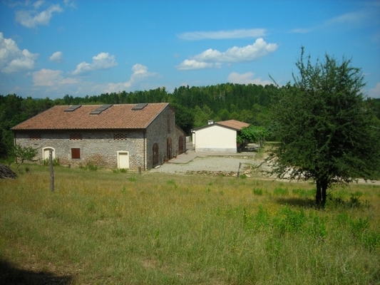 La Baciocca