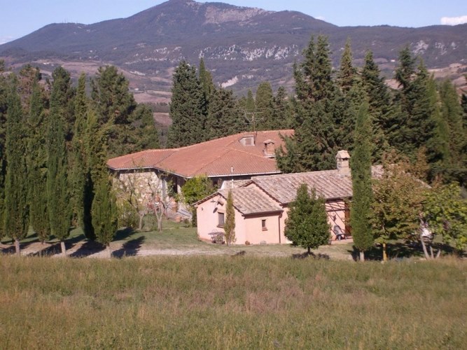 Tenuta Macetona