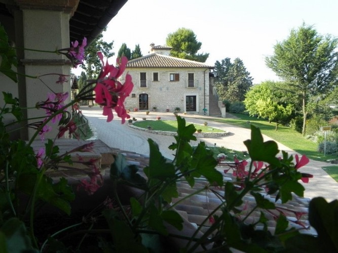 Tenuta Pizzogallo