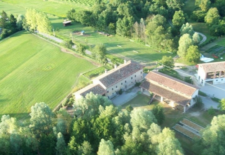 La Regina Del Bosco