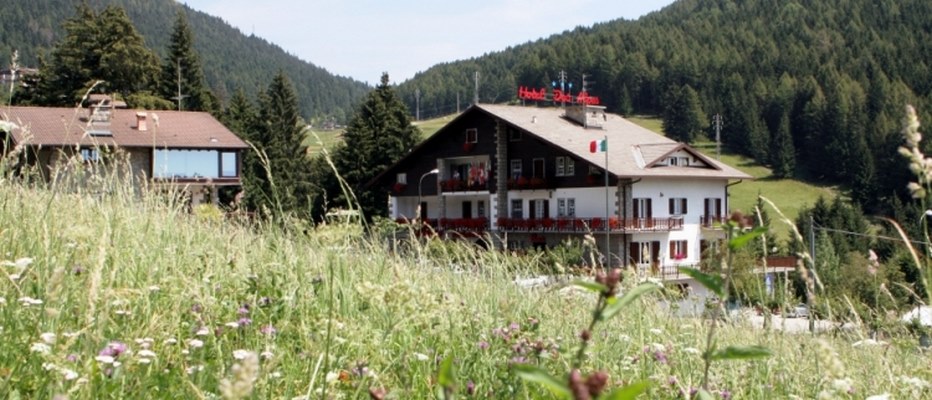 Hotel Ristorante Des Alpes