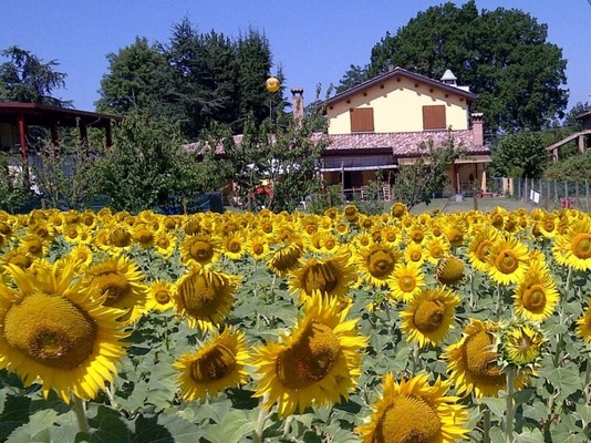 Agriturismo Il Gualdo di Sotto