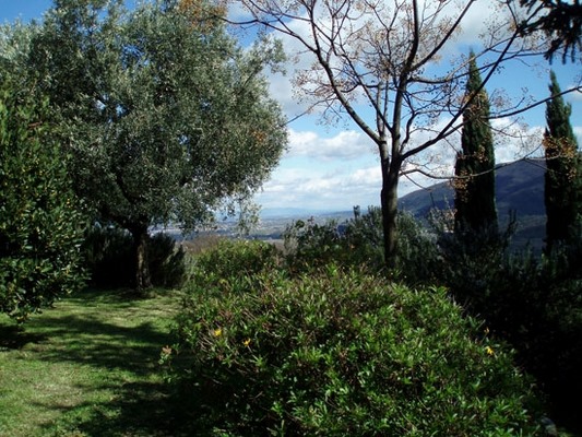 Il Bosso Village
