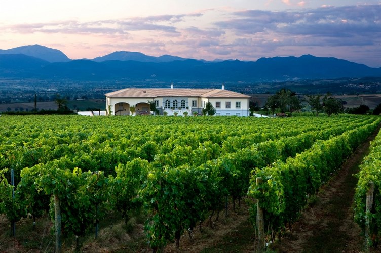 Tenuta Lungarotti Montefalco