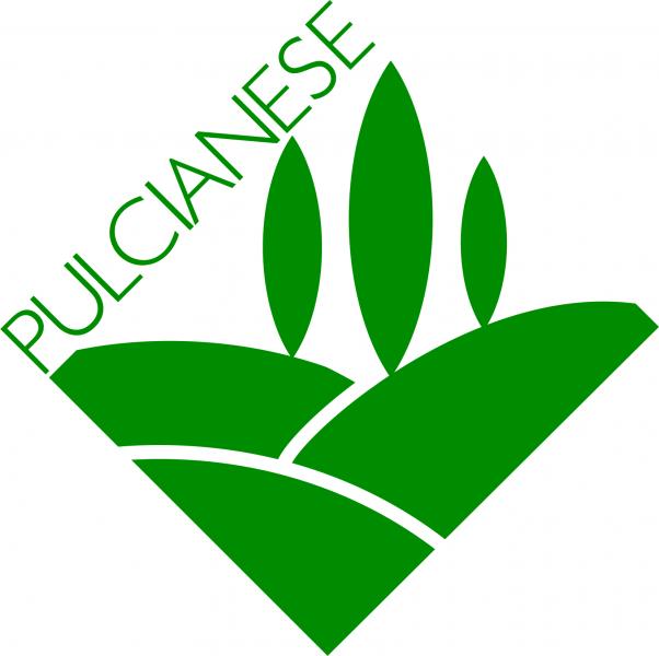 Pulcianese