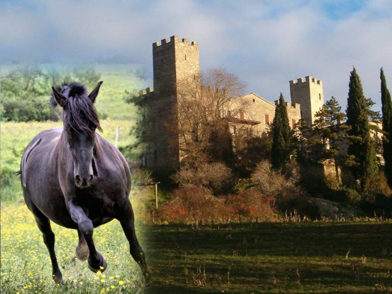 Castello di Giomici di Claudia Vagni